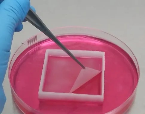 Terapias de Avanzada